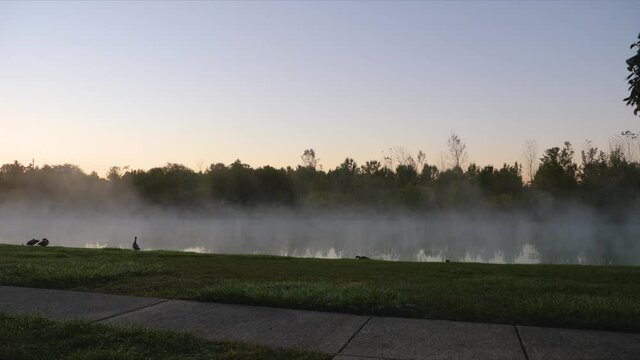Foggy sunrise on lake