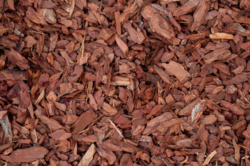 the texture of the filling for mulching brown plants in the form of tree bark