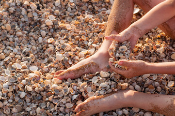 Children's hands, soiled in the sand, hold a lot of colorful shells, sitting on a shell beach in the setting sun. The legs, soiled in the sand, are also in the frame