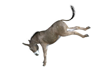 Photo-realistic illustration of the donkey with different poses and angles. 3D rendering illustration.