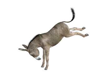 Photo-realistic illustration of the donkey with different poses and angles. 3D rendering illustration.