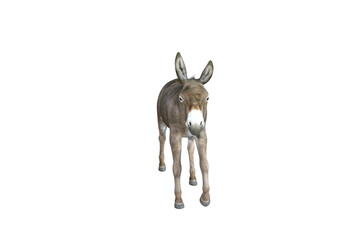 Photo-realistic illustration of the donkey with different poses and angles. 3D rendering illustration.