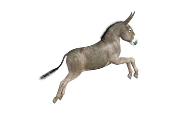 Fototapeta premium Photo-realistic illustration of the donkey with different poses and angles. 3D rendering illustration.