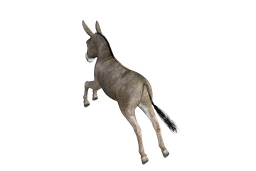 Photo-realistic illustration of the donkey with different poses and angles. 3D rendering illustration.