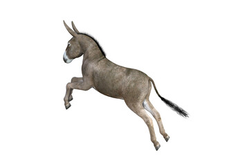Photo-realistic illustration of the donkey with different poses and angles. 3D rendering illustration.
