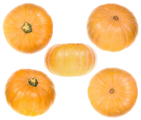 Set of pumpkins isolated on white background