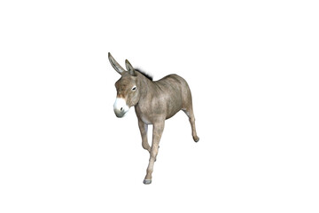 Obraz premium Photo-realistic illustration of the donkey with different poses and angles. 3D rendering illustration.