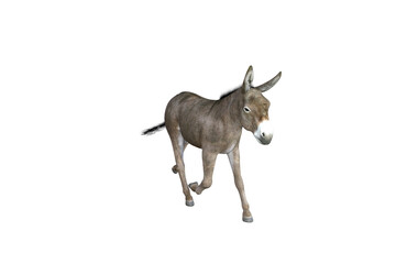 Photo-realistic illustration of the donkey with different poses and angles. 3D rendering illustration.