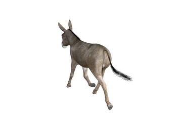 Obraz premium Photo-realistic illustration of the donkey with different poses and angles. 3D rendering illustration.