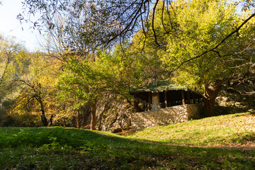 Woods hideout, photo taken near Hotnitsa waterfall