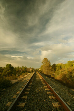 V&iacute;a de ferrocarril atravesando terreno forestal, en Hell&iacute;n (Albacete - Espa&ntilde;a).