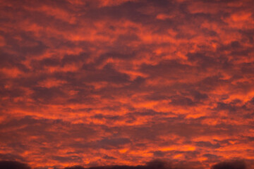 the sky at dawn in red clouds