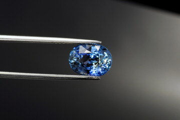Ceylon sapphire gemstone. Natural oval faceted, cornflower blue gem, flawless, transparent precious...