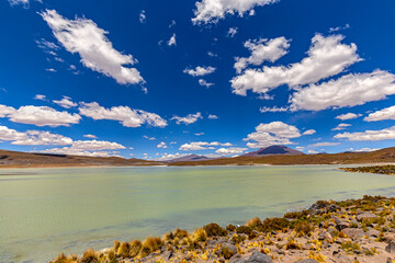 Bolivia, the southwest of the Altiplano, Potosi Department. Eduardo Avaroa Andean Fauna National...