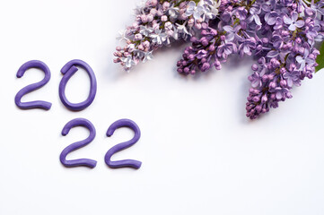 the numbers 2022, made of purple plasticine and arranged in two rows on a white background with...