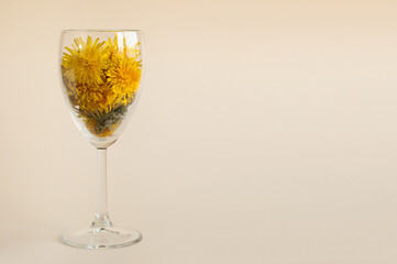 glass wine glass with yellow dandelions on a beige background with space for text