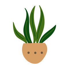 House plant design. Vector illustration.