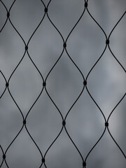 Fototapeta premium Iron wire fence. Web. Riveted twirl steel wire fence in rain