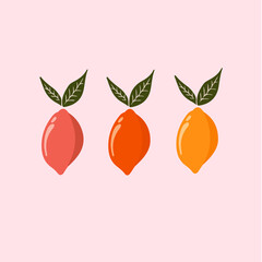Orange Symbol. Social Media Post. Fruit Vector Illustration.