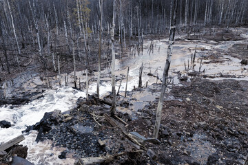 Dirty wastewater is discharged from rusty pipes into a clean forest stream. Destruction of the...