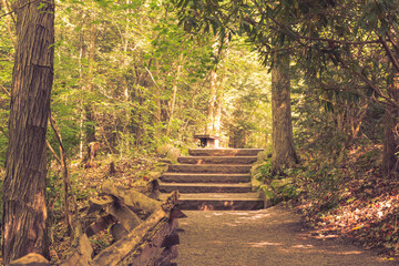 Un joli sentier dans un parc naturel de Pennsylvanie aux États-Unis. C& 39 est une belle promenade relaxante avec la nature, avec de grands arbres verts.