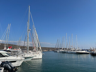 yachts in marina