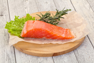 Piece of raw salmon