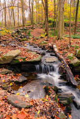 Photograph of a stream cascading down a series of rocks to a small waterfall taken in the woods during foliage time in Autumn