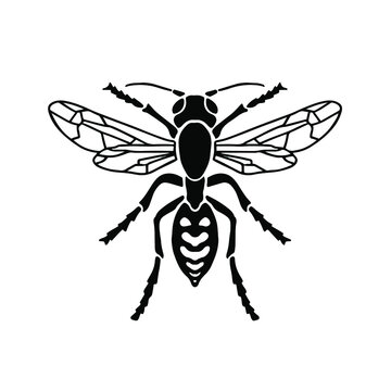 Wasp Logo Symbol. Stencil Design. Tattoo Vector Illustration.