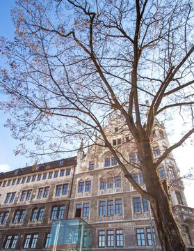 Foto edificio con arbol vista en contra picado 
