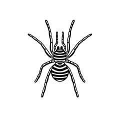 Tarantula Logo Symbol. Stencil Design. Tattoo Vector Illustration.