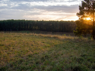 sunset on a clear day over a wooded ravine
