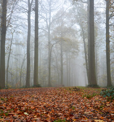 Beautiful view of Enghien park