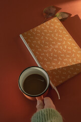 Cup off coffee and planer on autumn daylight. 