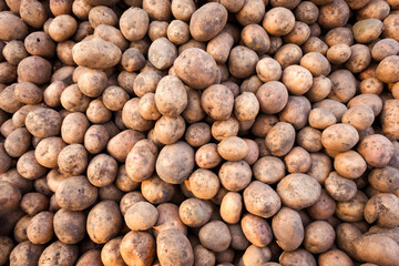 Potato background. Vintage potato wallpaper.