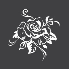 image of white rose bud isolated on black background