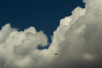 A bird in the sky. The raven flies among the clouds.