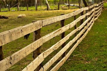 Fototapeta na wymiar Wooden fence on the farm. A hedge of boards in summer.