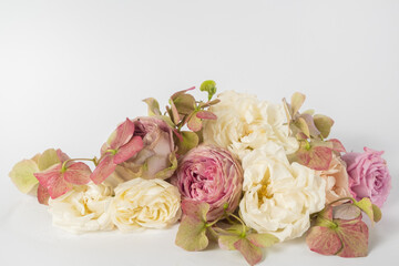Closeup flower arrangement of roses and hydrangeas on a white background. 
