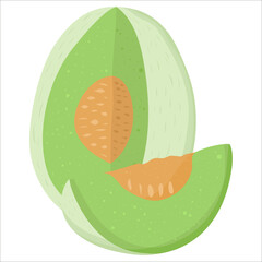 Cartoon illustration with colorful honeydew melon. Farm market product. Vector hand drawn graphic. Single isolated art.