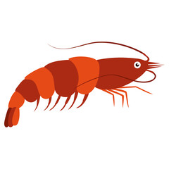 Beautiful cartoon illustration with colorful sea animals shrimp on white background for print design. Kid graphic. Sea underwater life. Vector isolated hand drawing.