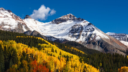 Colorado fall colors with Aspen trees in the Rocky Mountains