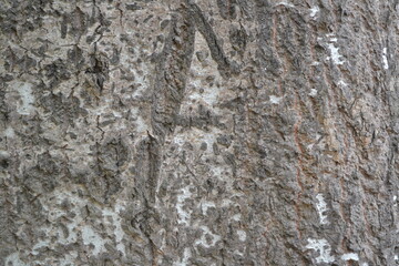 stone wall texture