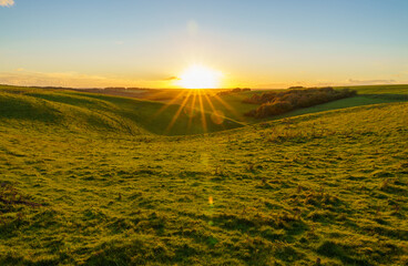 dramatic golden sky, minimal cloud on the horizon as the corona sunsets over a deep green grass...