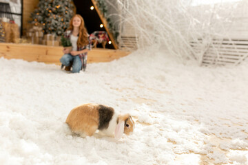 little red rabbit on white snow ran away from the girl