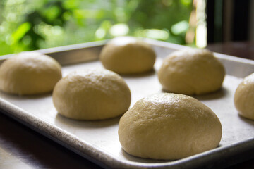 raw bread dough in buns waiting to bake with tin on wooden table with green foliage background. Bread dough ready to bake. 