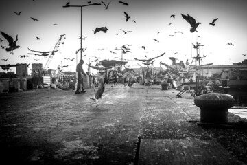 Pescadores Trabalhando Doca Pesca Matosinhos