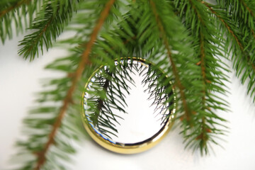 Close-up reflection of green natural fir tree branches in round mirror on white background. Creative art Christmas concept. Holiday mood. Round gold lid. Fir needle