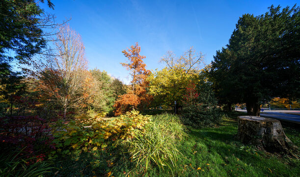 Park im Herbst