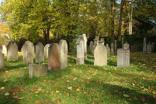 Jewish cemetery (Bad Pyrmont, Bombergallee)